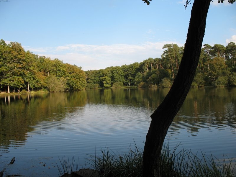 2007 09 Myco avec la SMF 29